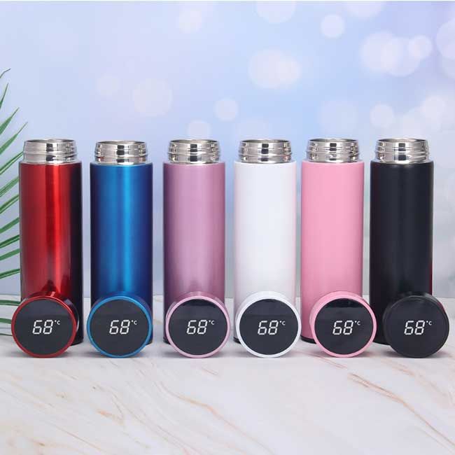 Smart LED Active Temperature Display Water Bottle